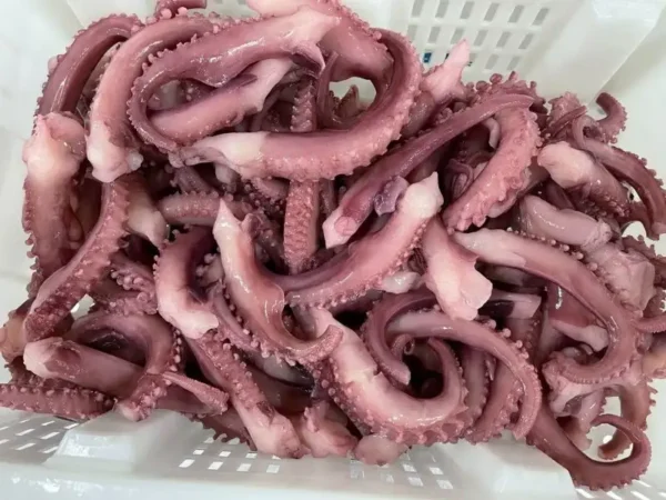 Frozen Octopus Tentacles China bulk price UAE Dubai Abu Dhabi