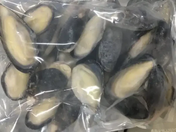 Frozen Half Shell Mussels China bulk price UAE Dubai Sharjah