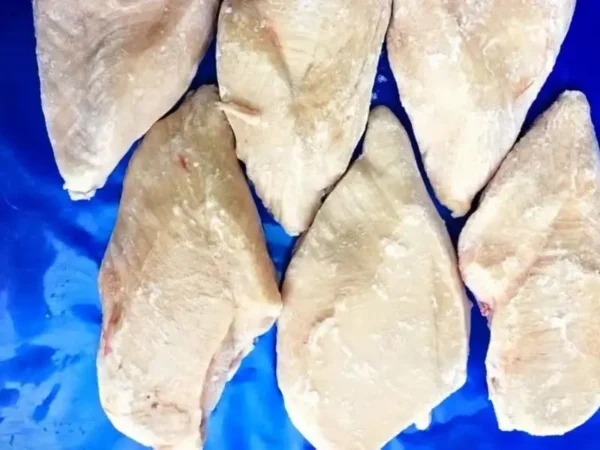 Frozen Chicken Tender Breast Bulk price UAE Dubai Abu Dhabi