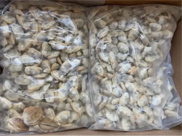 Frozen Clams Meat China origin bulk price in UAE, Dubai, Abu Dhabi