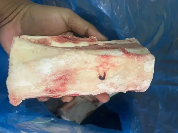Frozen Beef Marrow Bones bulk supplier price UAE Dubai Abu Dhabi