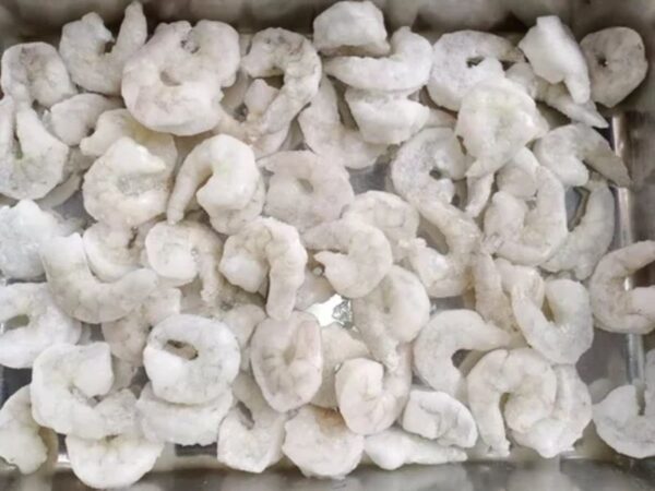 Frozen Indian PD Shrimps Export to GCC