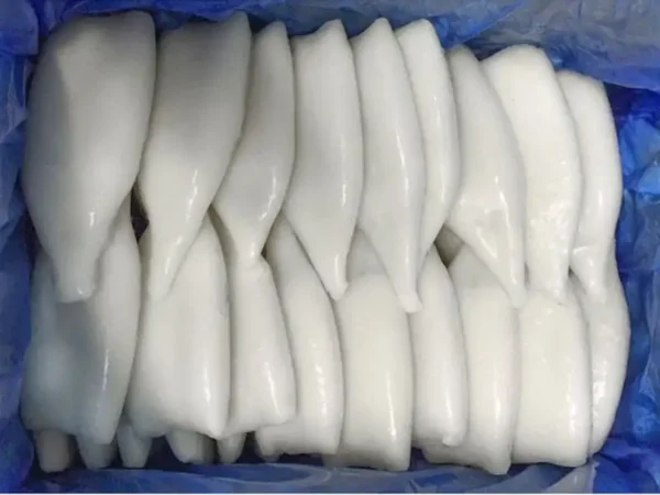 We Import Frozen Squid Tube from China